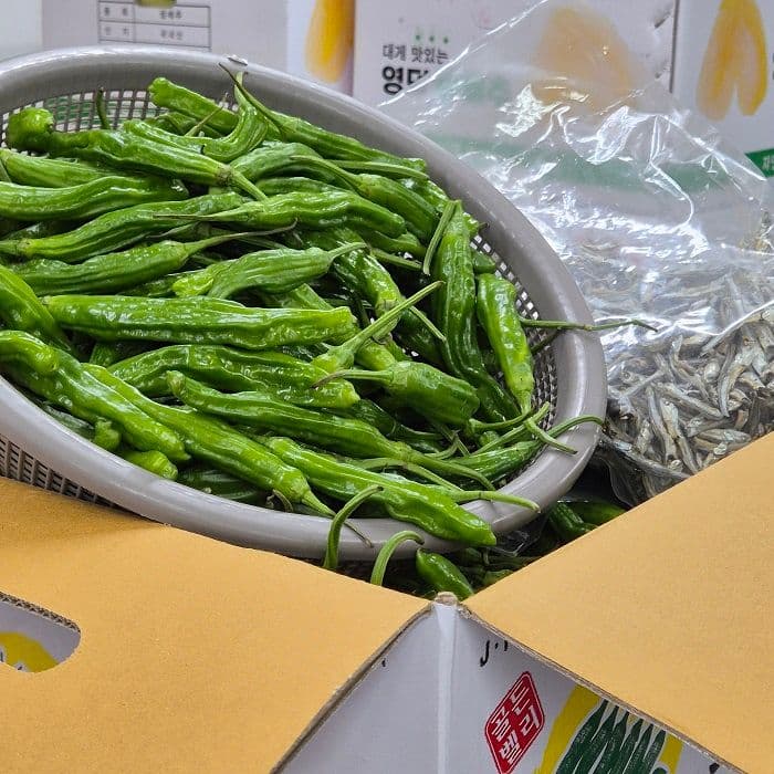 꽈리고추