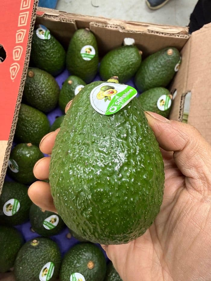 아보카도